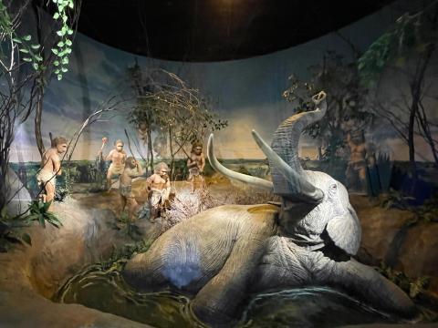 約30万年前ころの象狩り