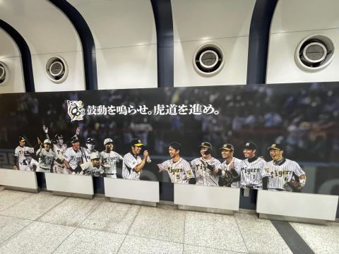 阪神タイガース