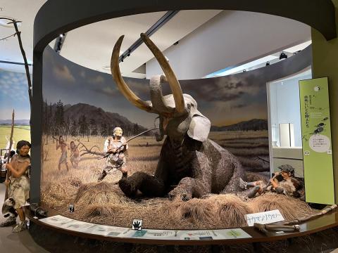 旧石器時代 自然にいどむ狩人たち