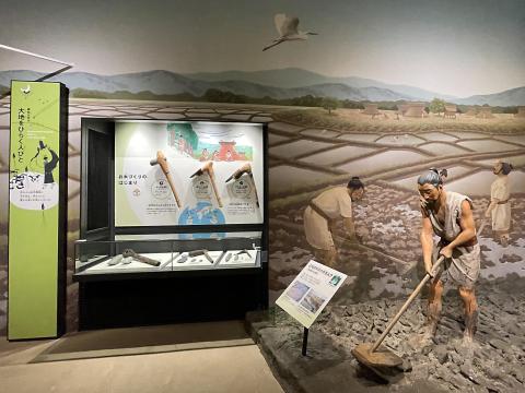 お米づくりのはじまり