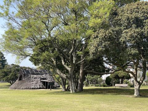 復元竪穴住居3号