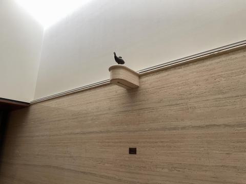 油滴天目のロビー