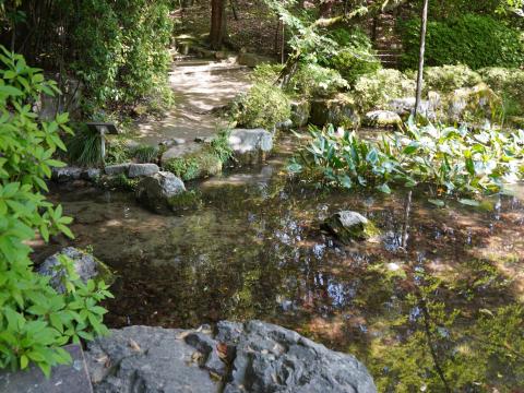 平安神宮西神苑