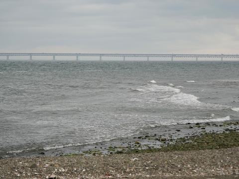 男里川左岸河口