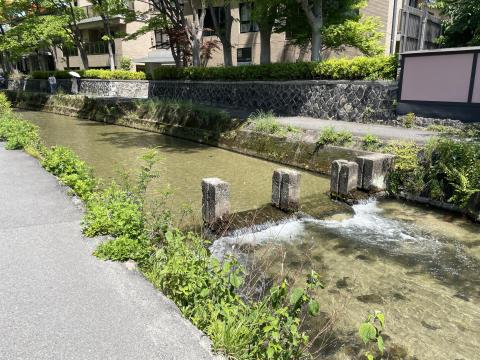 白川自動プール跡