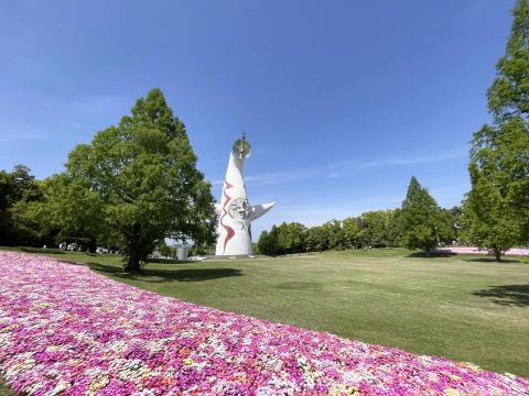 太陽の塔とリビングストンデージー