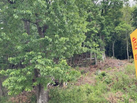 久津川車塚古墳