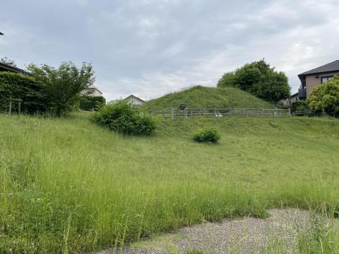 芝ヶ原古墳