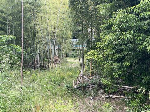 久津川車塚古墳