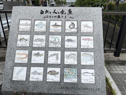 ふるさとの魚たち
