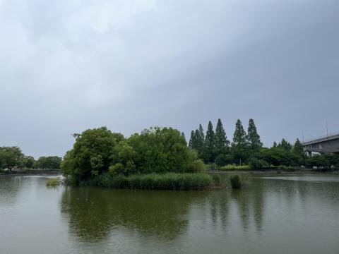 城北公園