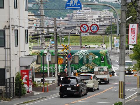 JR西 221系お茶の京都トレイン