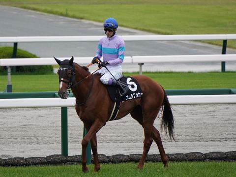 ナムラフッカー