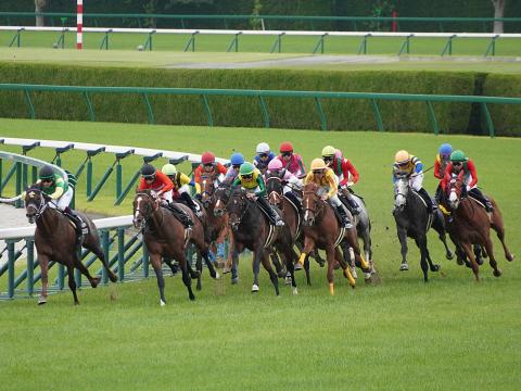 垂水ステークス