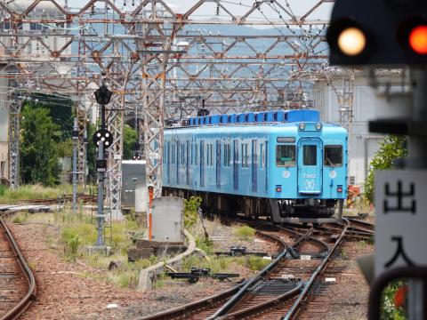 南海めでたいでんしゃ