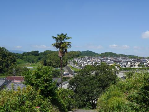 橿原市白橿町