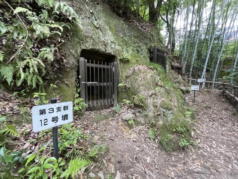 第3支群10、11、12号墳