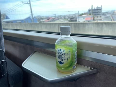 南海復元塗装10000系