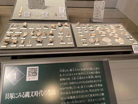 縄文時代の貝塚からの出土品