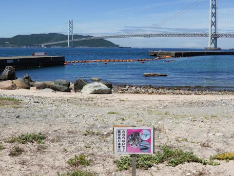 アジュール舞子