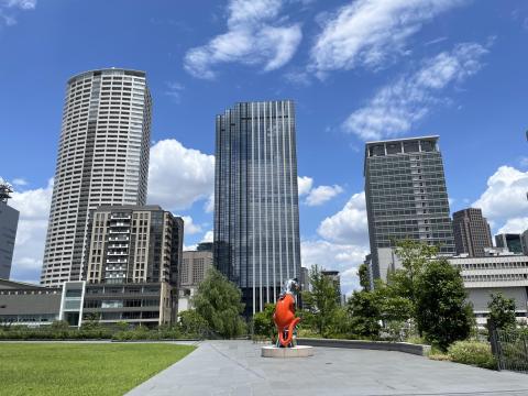 シップスキャット