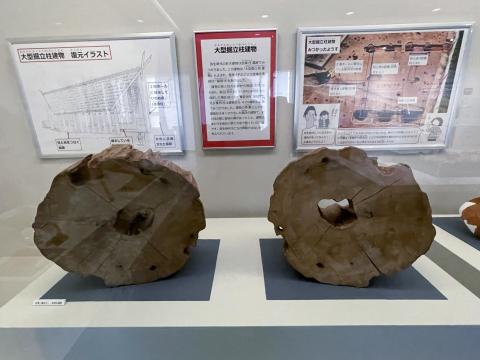 大型掘立柱建物柱根