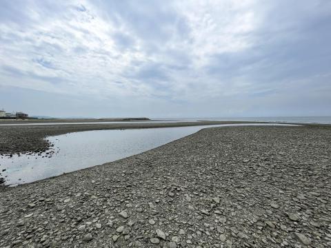 大きなタイドプール