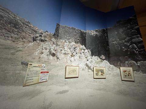 ティリンス遺跡の城壁