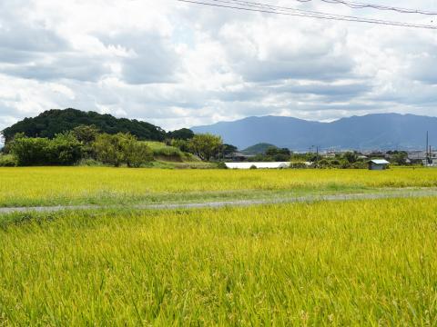 巻野内石塚古墳