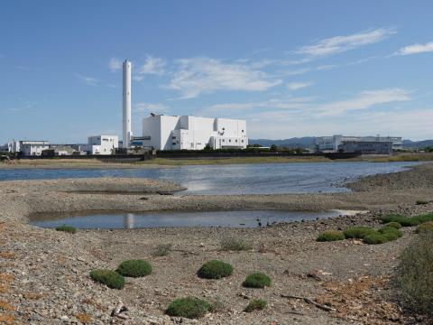 男里川左岸河口