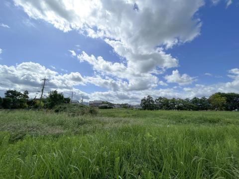 纒向遺跡太田地区