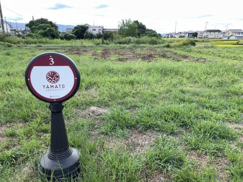 纒向遺跡辻地区