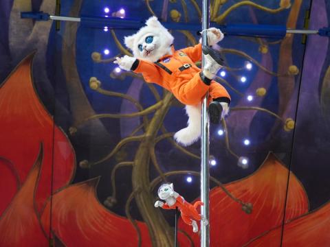 シップスキャット