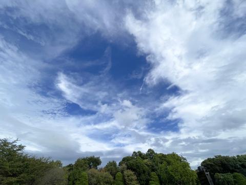 京都府立植物園