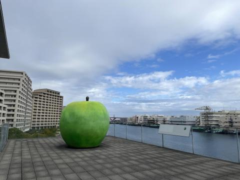 安藤忠雄「青リンゴ」