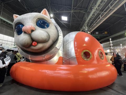 SHIP's CAT（Island）