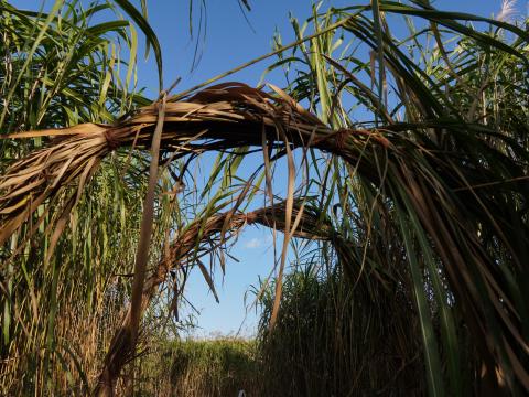 おぎの美術館本館