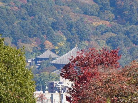 大仏殿と二月堂