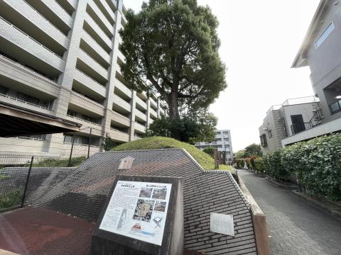 開田城跡の土塁