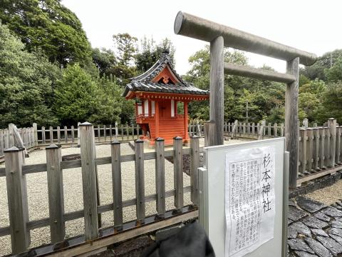 椙本神社