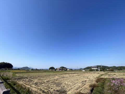 畝傍山と耳成山