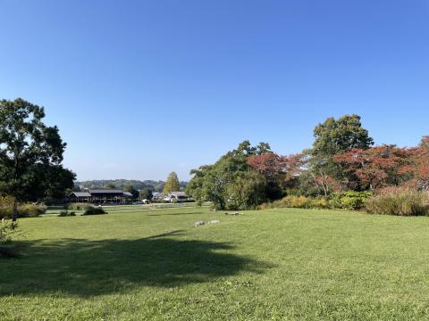 国営飛鳥歴史公園 石舞台地区