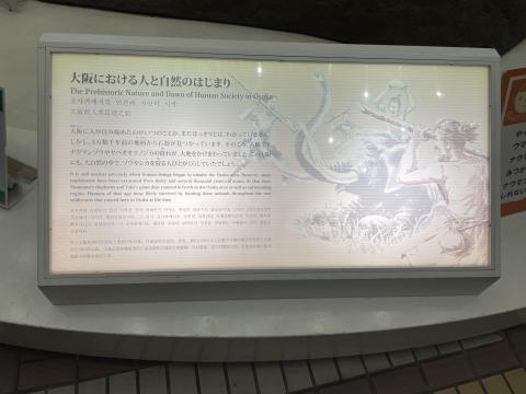 大阪における人と自然のはじまり