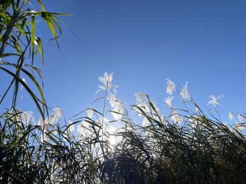 「空を切り取る」