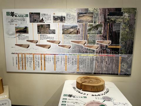 年輪のものさし