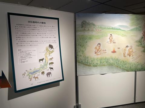 旧石器時代の動物