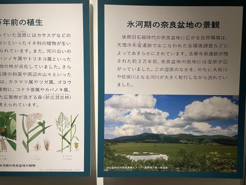 氷河期の奈良盆地の景観