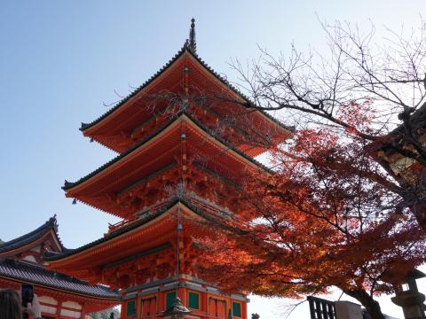 重要文化財三重塔とモミジ