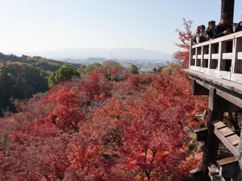 舞台からの紅葉