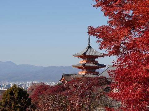 三重塔とモミジと京の町